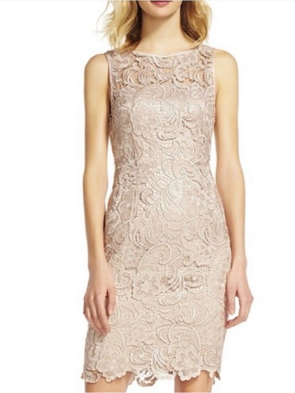 Adrianna Papell Floral Lace Overlay Sheath Dress – Champagne Petite